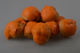10 Oranje Soesjes afbeelding